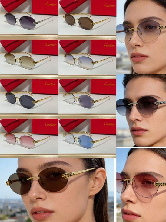 Picture of Cartier Sunglasses _SKUfw80443100fw